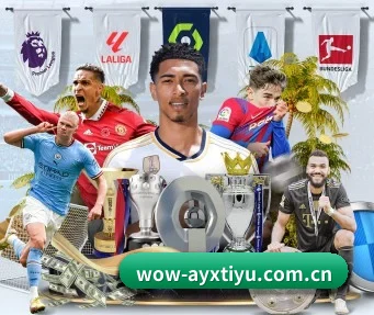 ayx爱游戏体育 APP